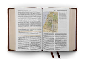 ESV Study Bible (Cowhide, Deep Brown)