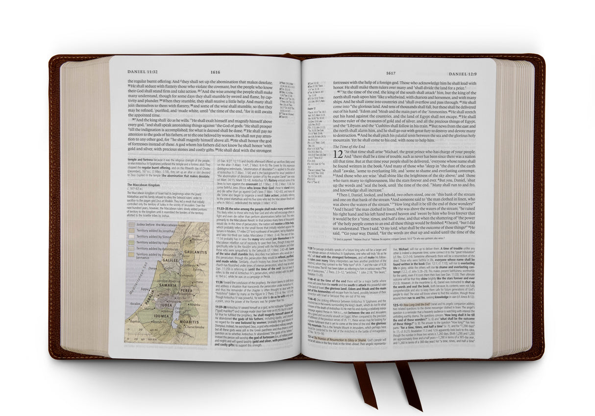 ESV Study Bible (Cowhide, Deep Brown)