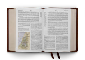 ESV Study Bible (Cowhide, Deep Brown)