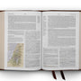 ESV Study Bible (Cowhide, Deep Brown)
