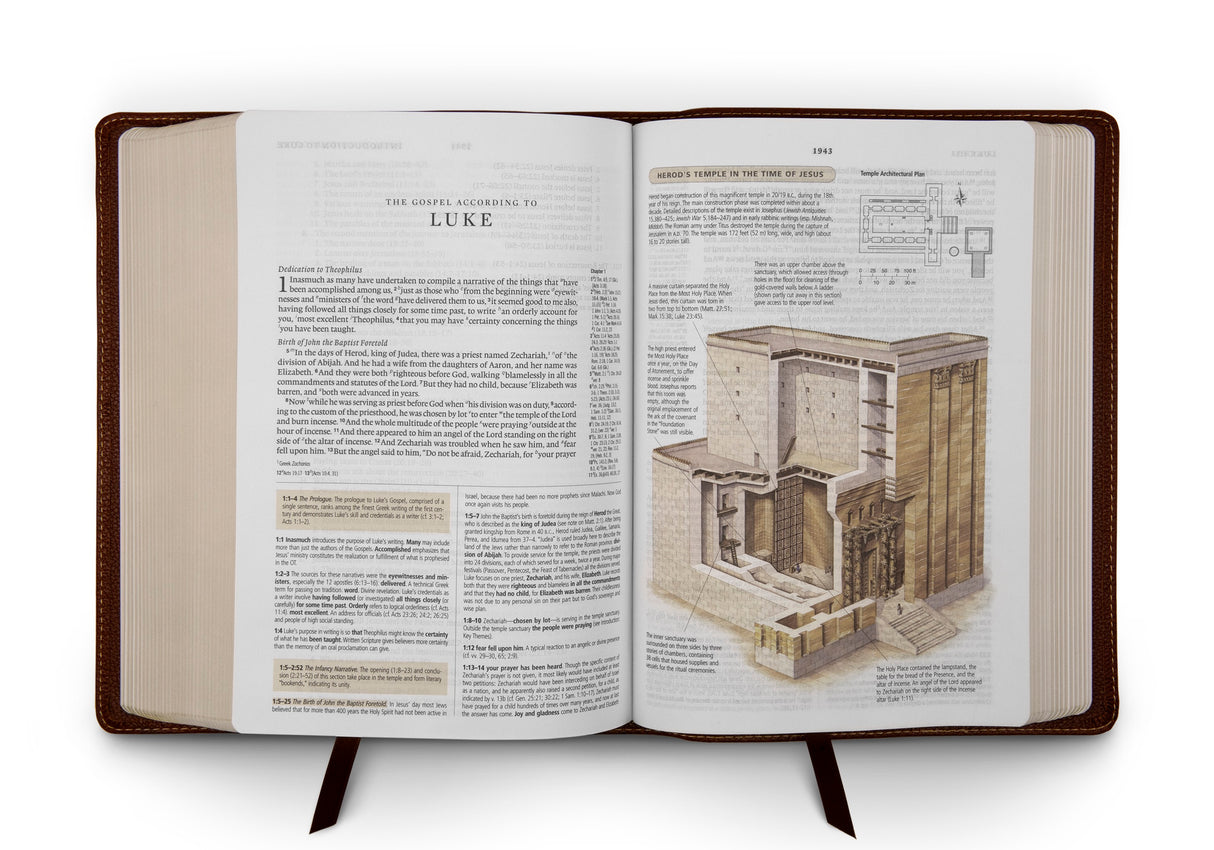 ESV Study Bible (Cowhide, Deep Brown)