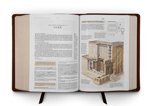 ESV Study Bible (Cowhide, Deep Brown)