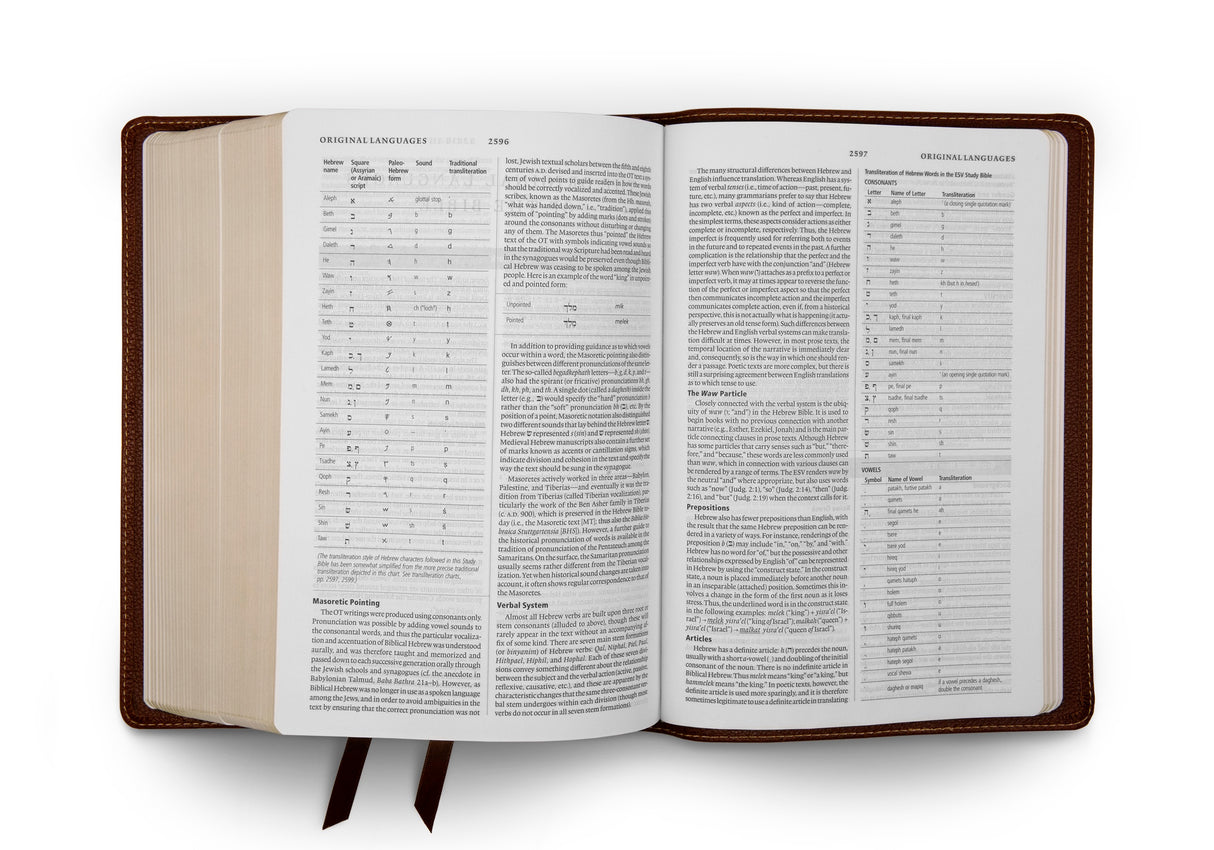 ESV Study Bible (Cowhide, Deep Brown)