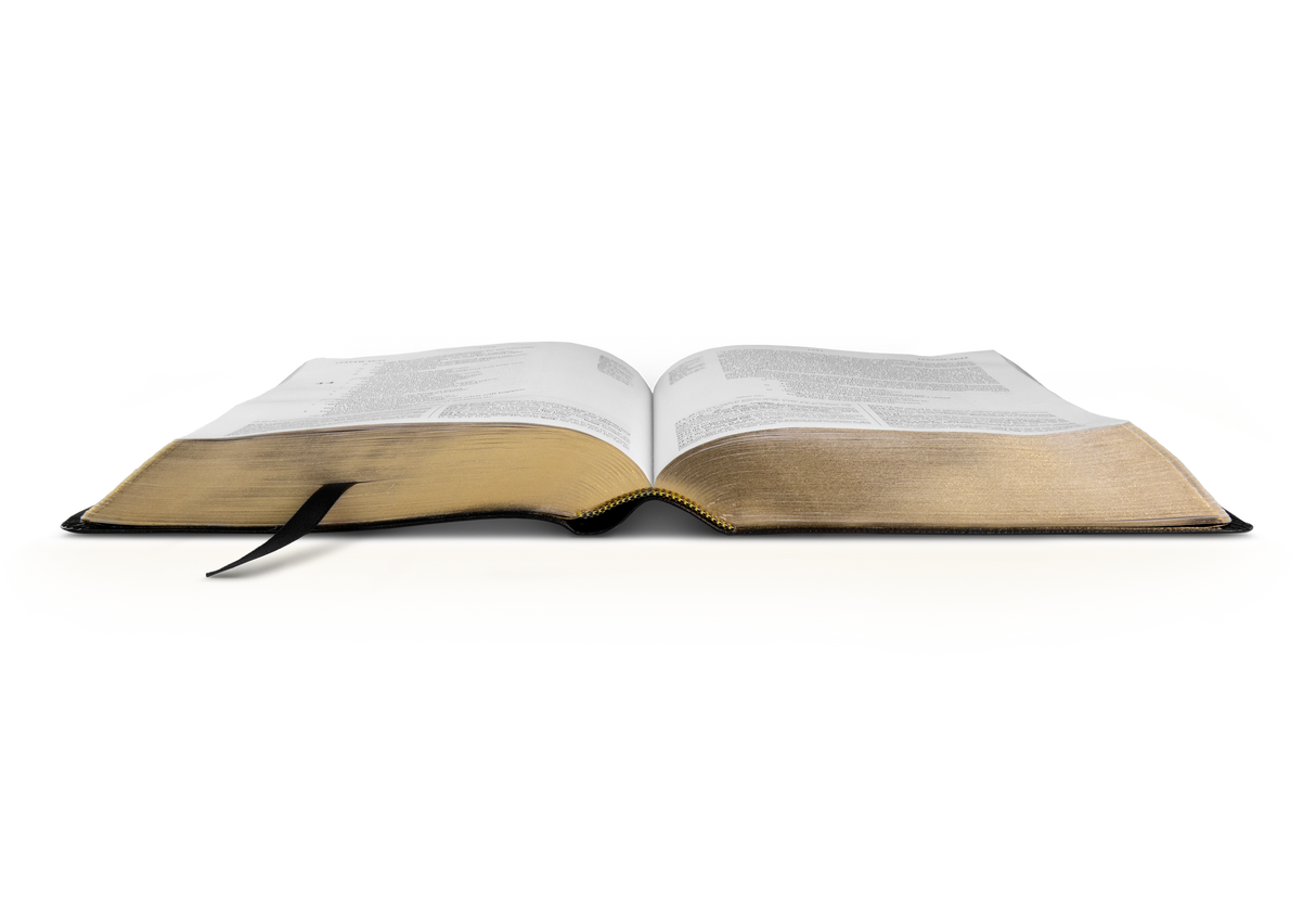 ESV Study Bible (Bonded Leather, Black) (1023653773359)