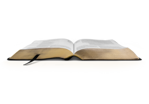ESV Study Bible (Bonded Leather, Black) (1023653773359)