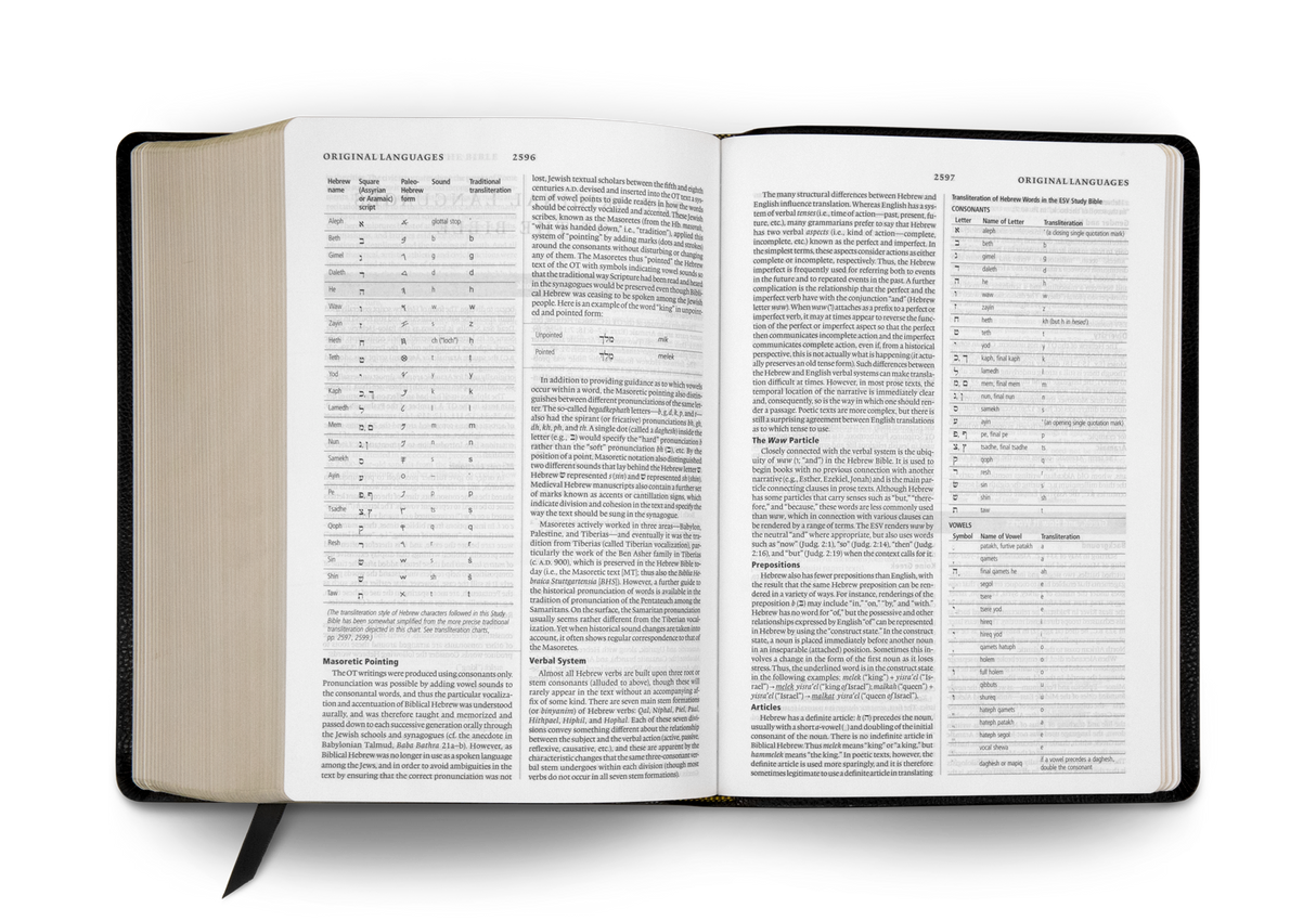 ESV Study Bible (Bonded Leather, Black) (1023653773359)