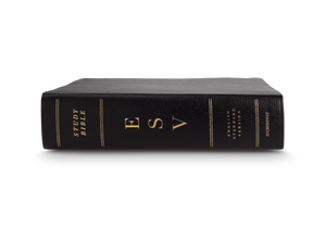 ESV Study Bible (Bonded Leather, Black) (1023653773359)