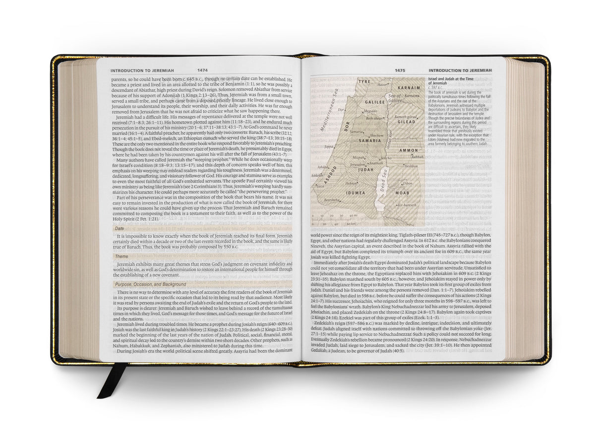 ESV Study Bible, Large Print (Genuine Leather, Black) (1018281132079)