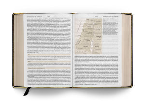 ESV Study Bible, Large Print (Genuine Leather, Black) (1018281132079)