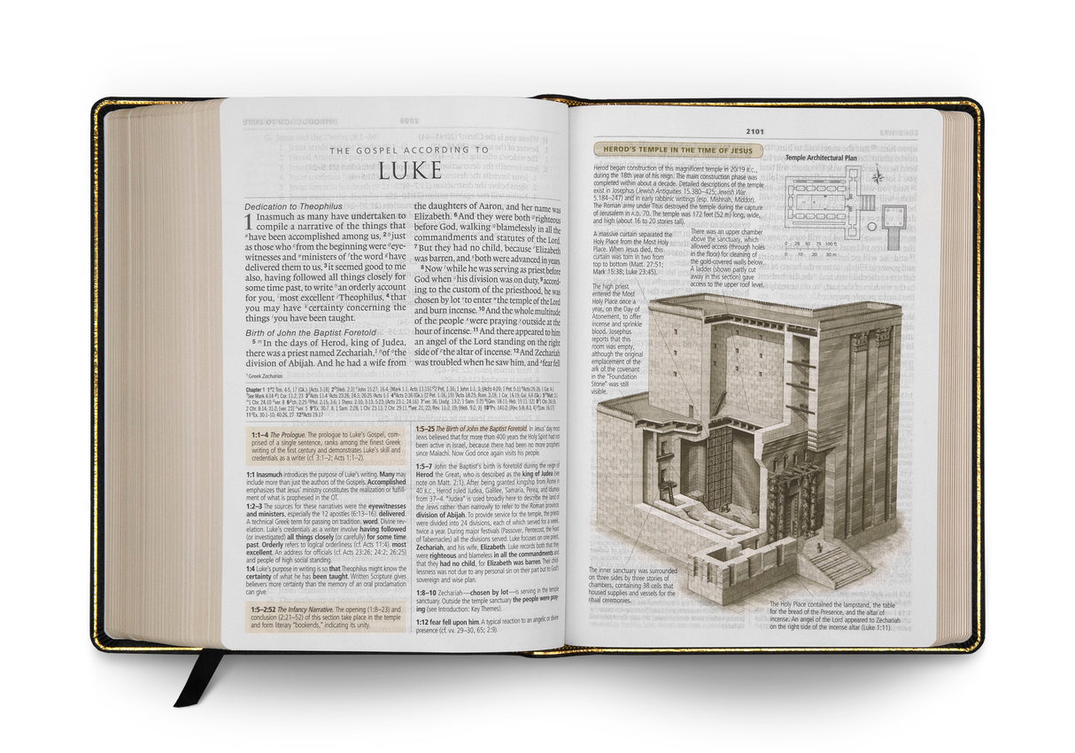 ESV Study Bible, Large Print (Genuine Leather, Black) (1018281132079)