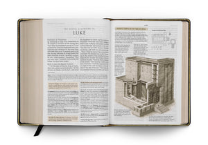 ESV Study Bible, Large Print (Genuine Leather, Black) (1018281132079)