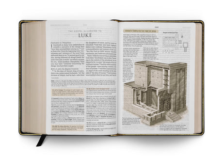ESV Study Bible, Large Print (Genuine Leather, Black) (1018281132079)