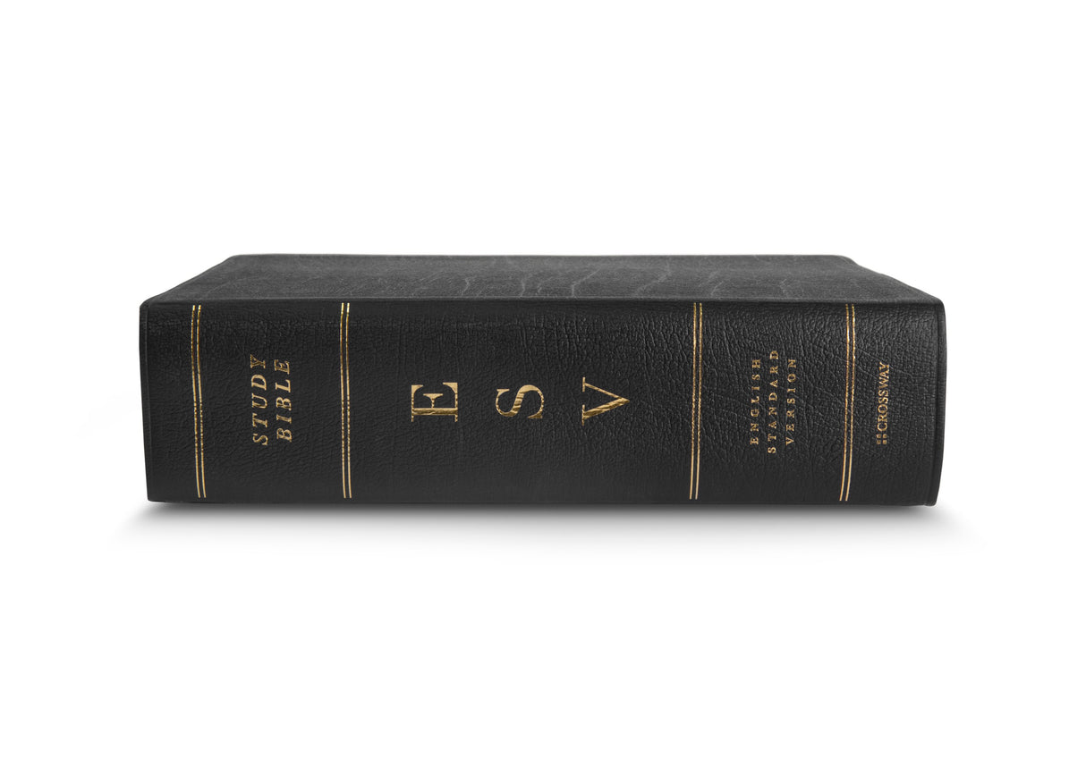 ESV Study Bible, Large Print (Genuine Leather, Black) (1018281132079)