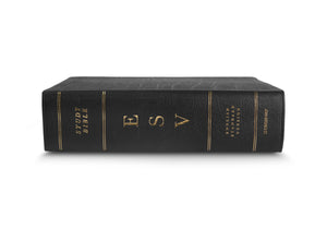 ESV Study Bible, Large Print (Genuine Leather, Black) (1018281132079)