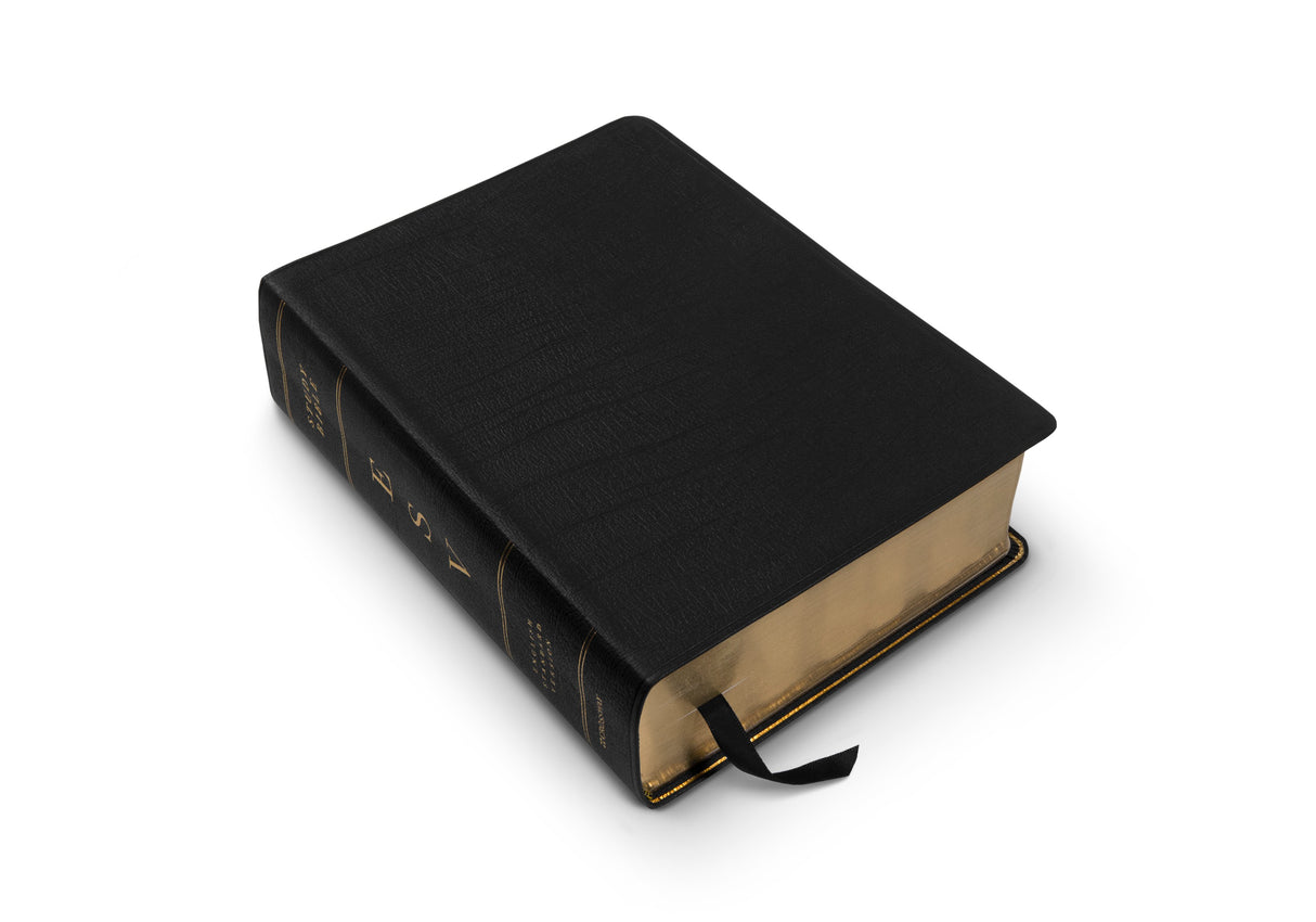 ESV Study Bible, Large Print (Genuine Leather, Black) (1018281132079)