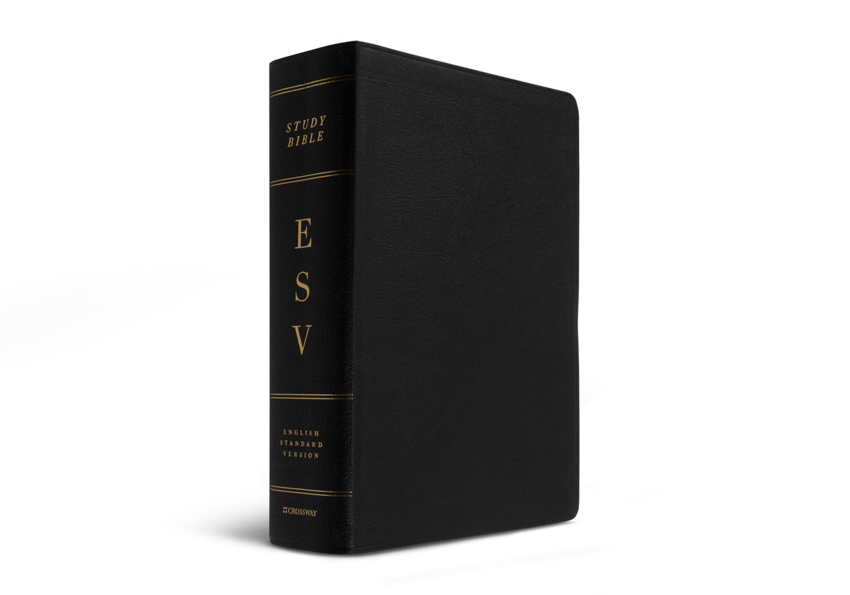 ESV Study Bible, Large Print (Genuine Leather, Black) (1018281132079)