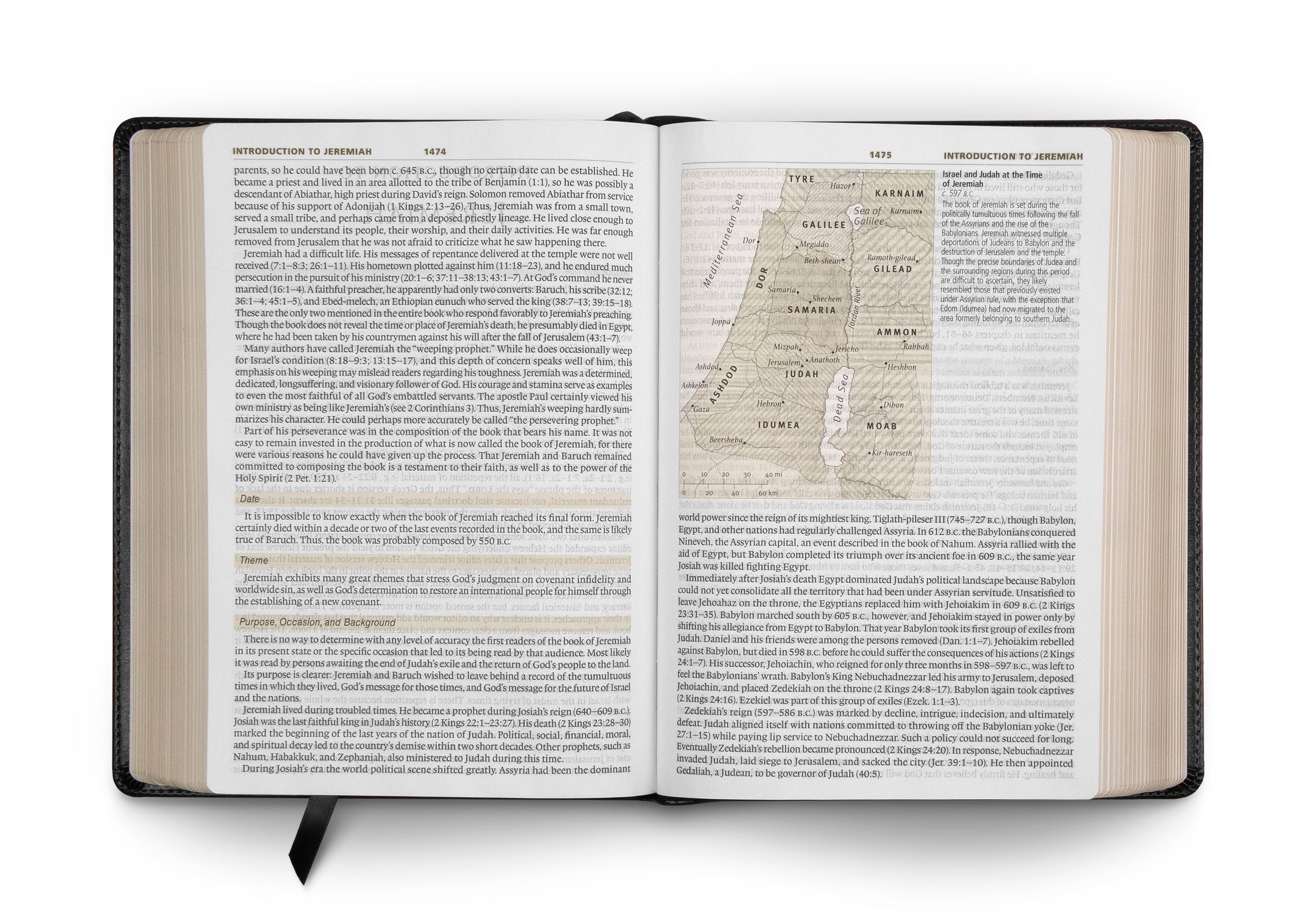ESV Study Bible, Large Print (Trutone, Black) - English Standard