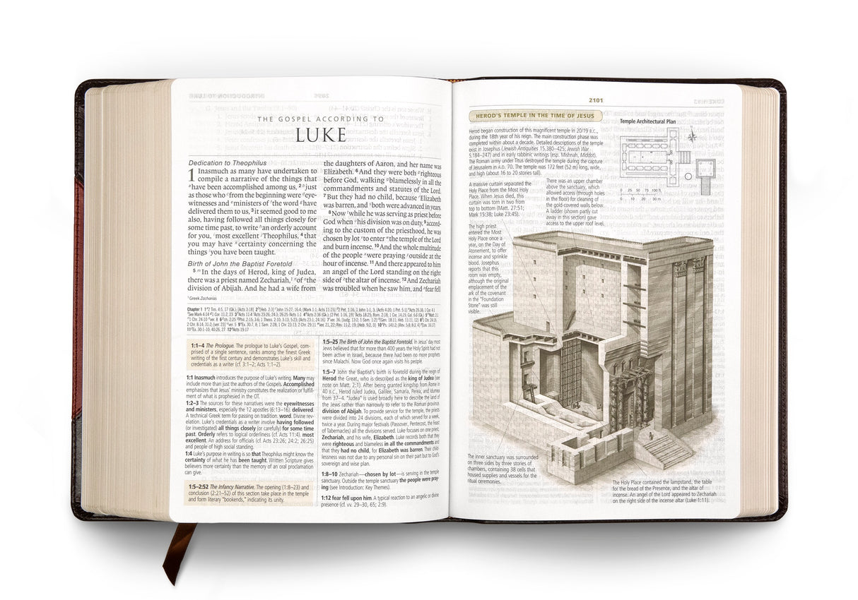 ESV Study Bible, Large Print (TruTone, Brown/Cordovan, Portfolio Design)