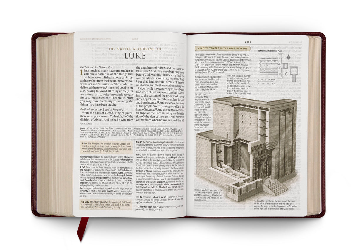 ESV Study Bible, Large Print (TruTone, Mahogany, Trellis Design) (1018282213423)