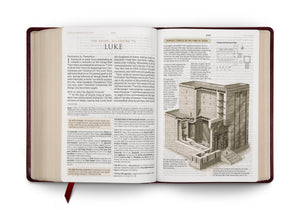 ESV Study Bible, Large Print (TruTone, Mahogany, Trellis Design) (1018282213423)
