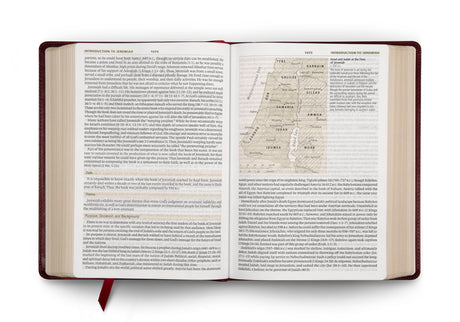 ESV Study Bible, Large Print (TruTone, Mahogany, Trellis Design) (1018282213423)