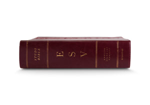 ESV Study Bible, Large Print (TruTone, Mahogany, Trellis Design) (1018282213423)