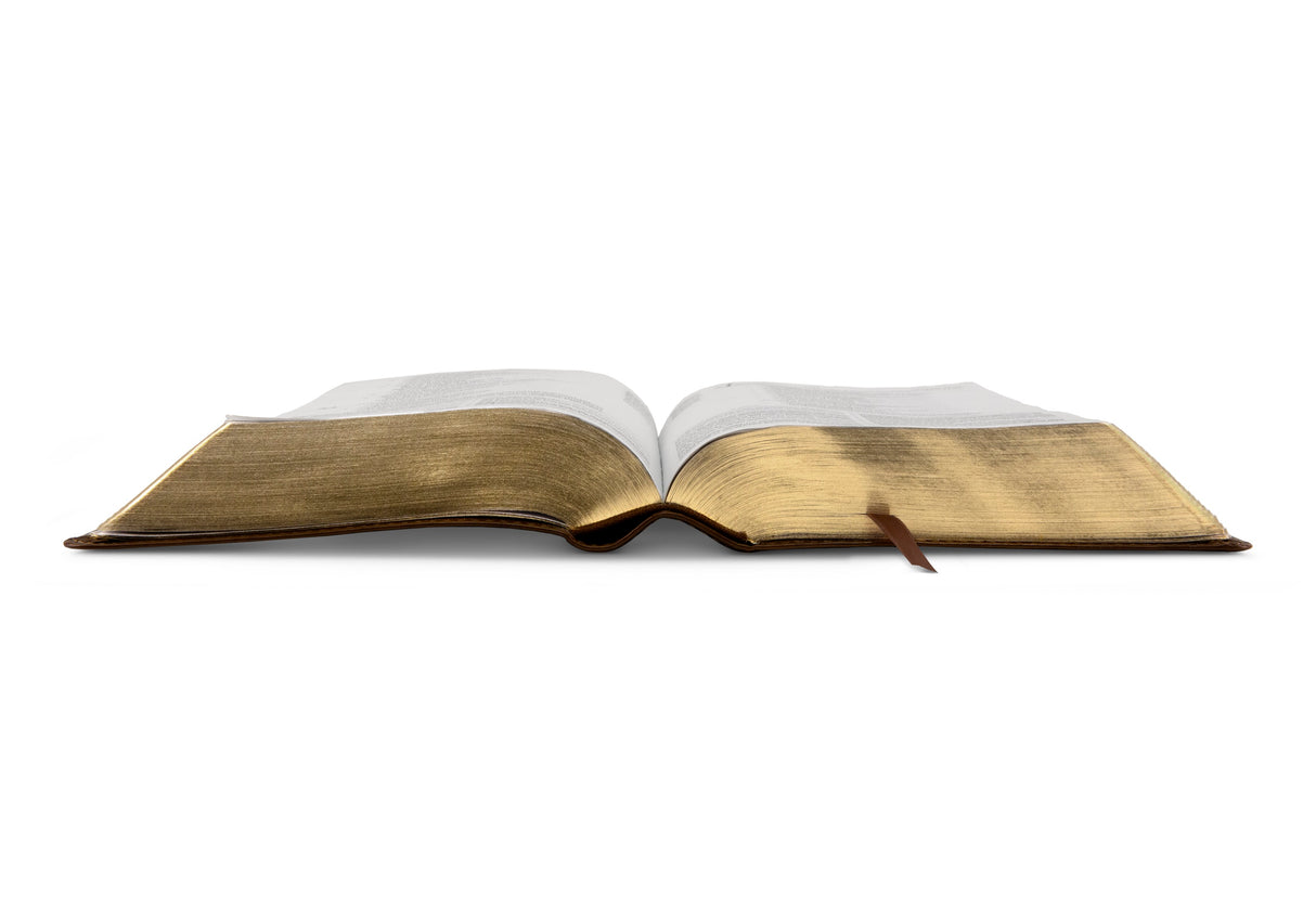 ESV Study Bible, Personal Size (TruTone, Brown) (1023775768623)