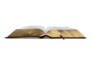 ESV Study Bible, Personal Size (TruTone, Brown) (1023775768623)