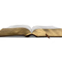 ESV Study Bible, Personal Size (TruTone, Brown) (1023775768623)