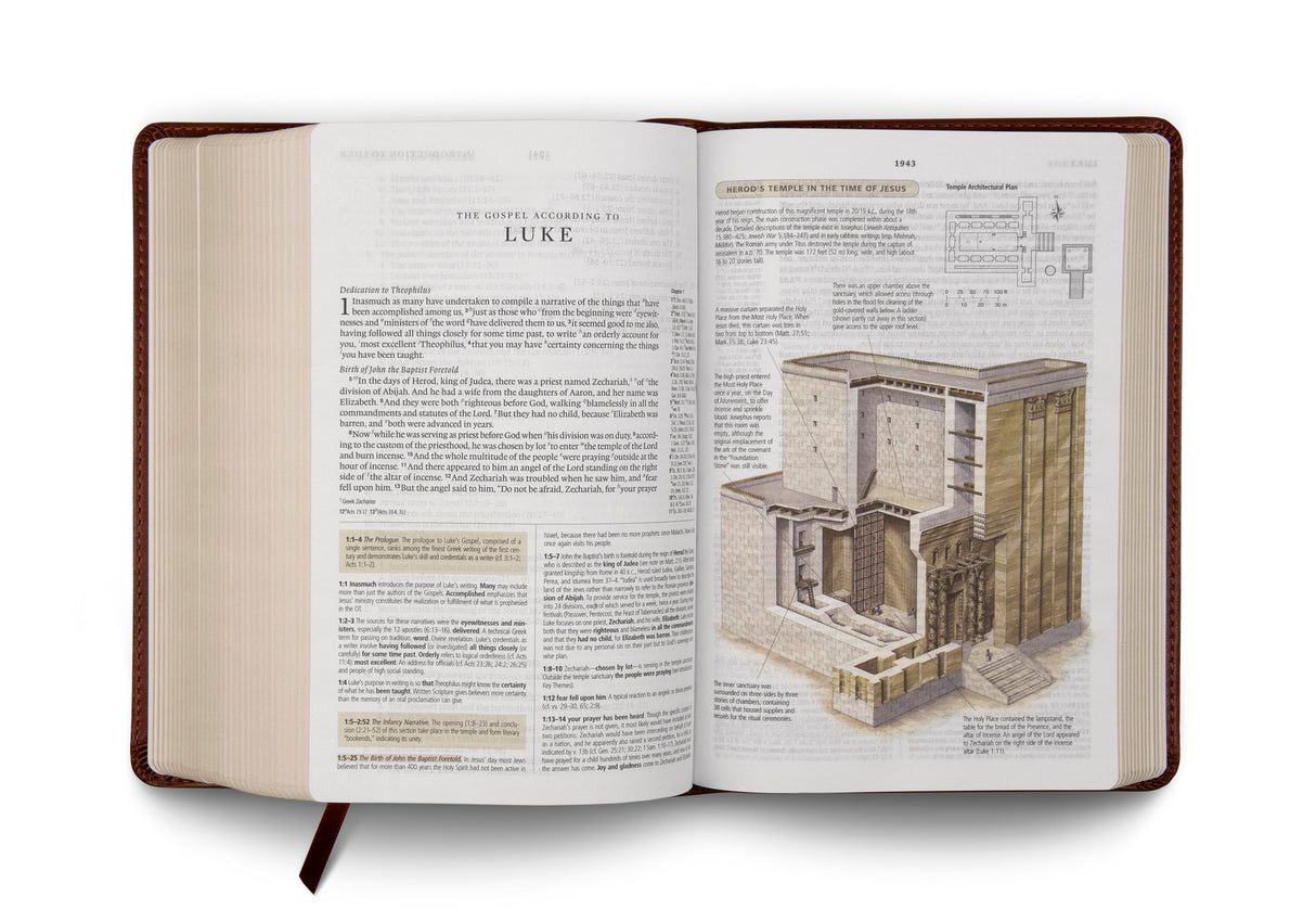 ESV Study Bible, Personal Size (TruTone, Brown) (1023775768623)