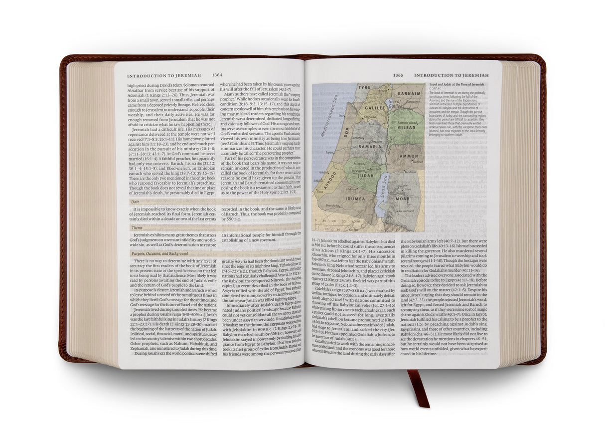 ESV Study Bible, Personal Size (TruTone, Brown) (1023775768623)