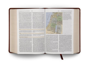 ESV Study Bible, Personal Size (TruTone, Brown) (1023775768623)