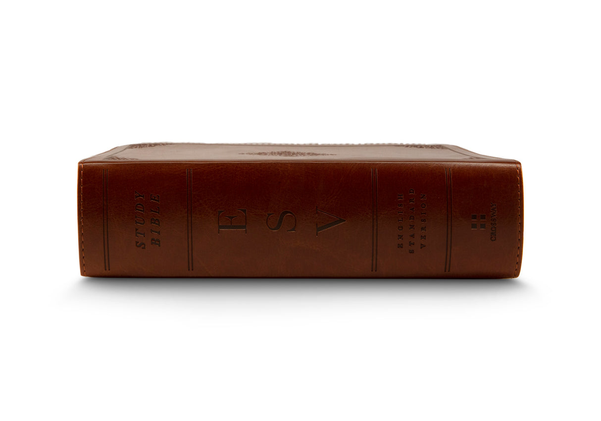 ESV Study Bible, Personal Size (TruTone, Saddle, Ornament Design) (1018279559215)
