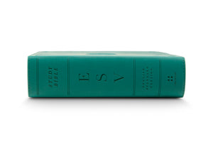 ESV Study Bible, Personal Size (TruTone, Turquoise, Emblem Design)
