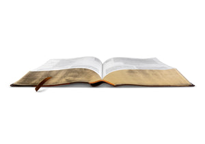 ESV Study Bible (TruTone, Brown/Cordovan, Portfolio Design) (1023656886319)