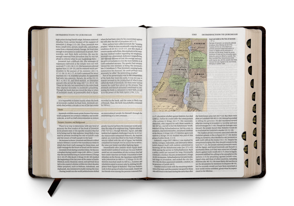 ESV Study Bible (TruTone, Brown/Cordovan, Portfolio Design) (1023656886319)