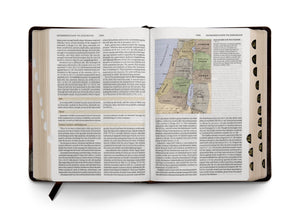 ESV Study Bible (TruTone, Brown/Cordovan, Portfolio Design) (1023656886319)