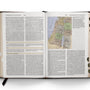 ESV Study Bible (TruTone, Brown/Cordovan, Portfolio Design) (1023656886319)