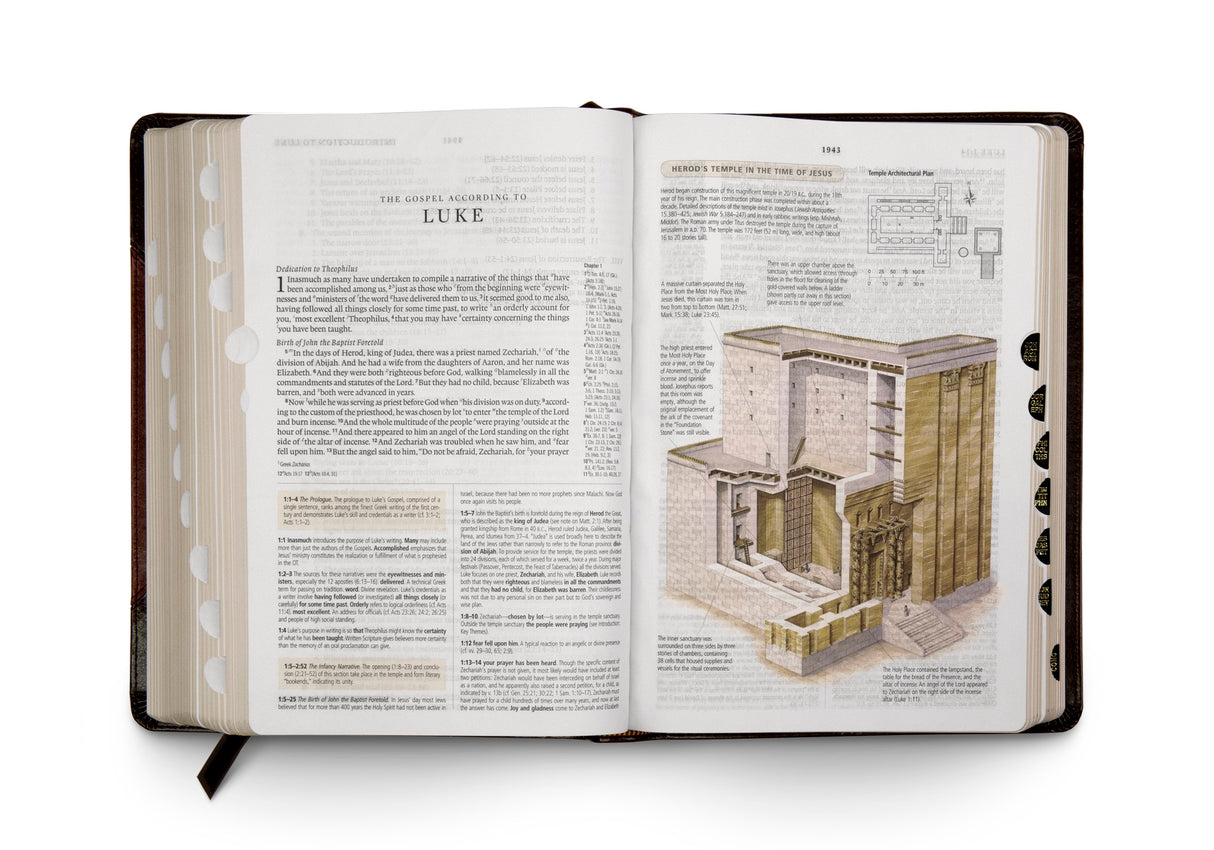 ESV Study Bible (TruTone, Brown/Cordovan, Portfolio Design) (1023656886319)