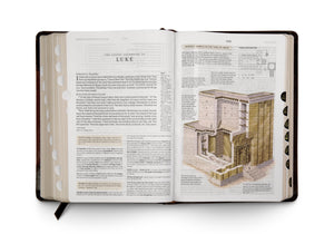 ESV Study Bible (TruTone, Brown/Cordovan, Portfolio Design) (1023656886319)