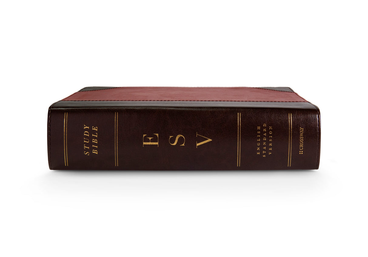 ESV Study Bible (TruTone, Brown/Cordovan, Portfolio Design) (1023656886319)
