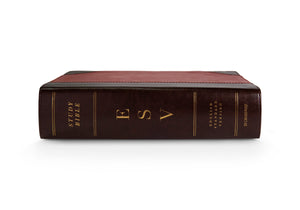 ESV Study Bible (TruTone, Brown/Cordovan, Portfolio Design) (1023656886319)