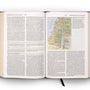 ESV Study Bible (Trutone, Burgundy/Red, Timeless Design, Indexed)