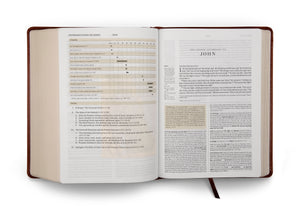 ESV Study Bible (TruTone, Chestnut)