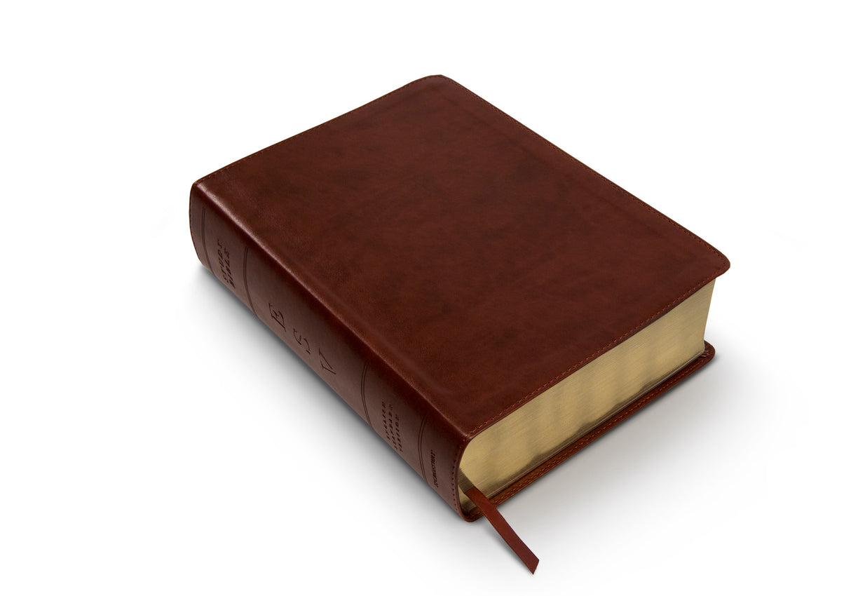 ESV Study Bible (TruTone, Chestnut)