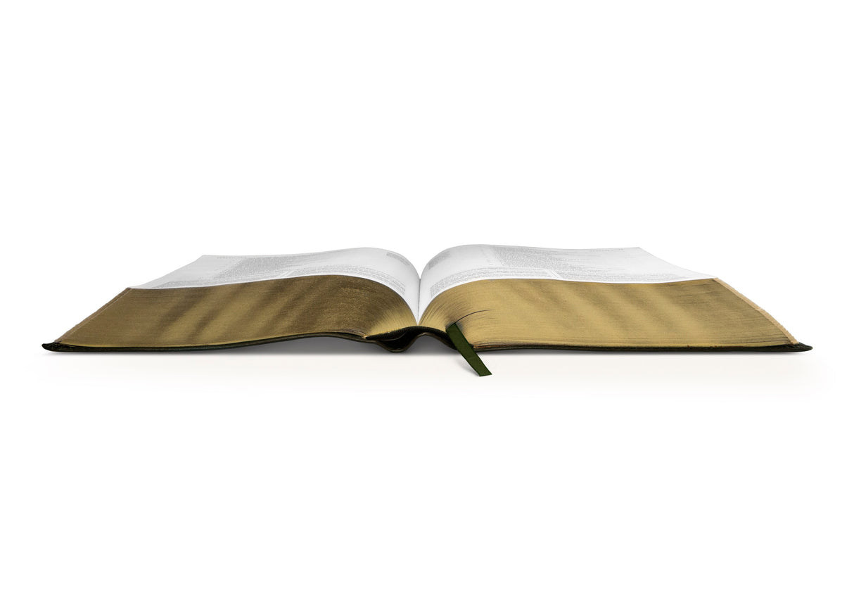 ESV Study Bible (TruTone, Olive, Celtic Cross Design)