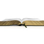 ESV Study Bible (TruTone, Olive, Celtic Cross Design)
