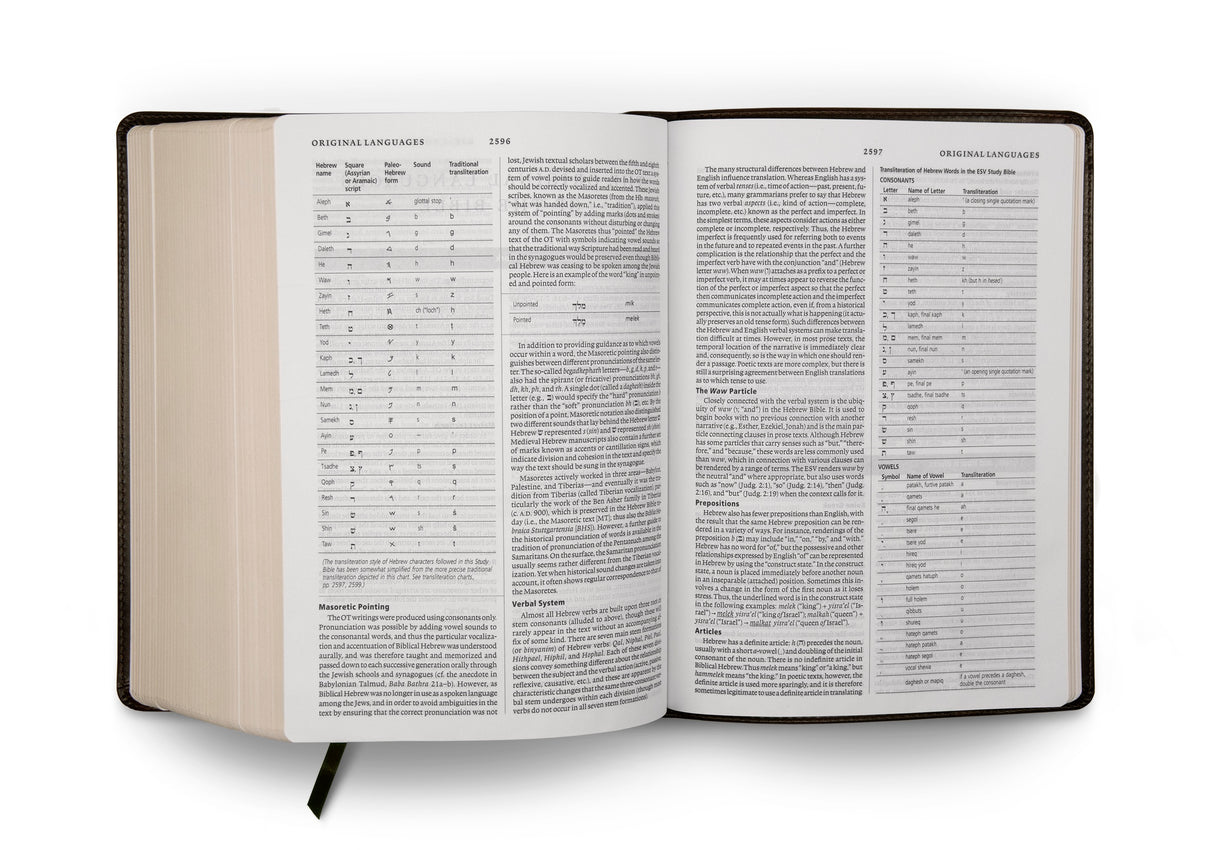 ESV Study Bible (TruTone, Olive, Celtic Cross Design)