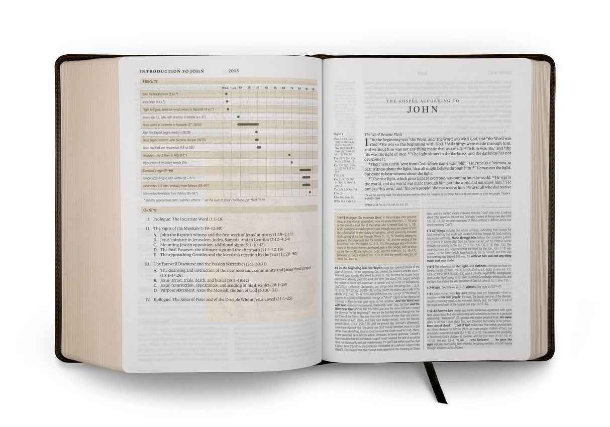 ESV Study Bible (TruTone, Olive, Celtic Cross Design)