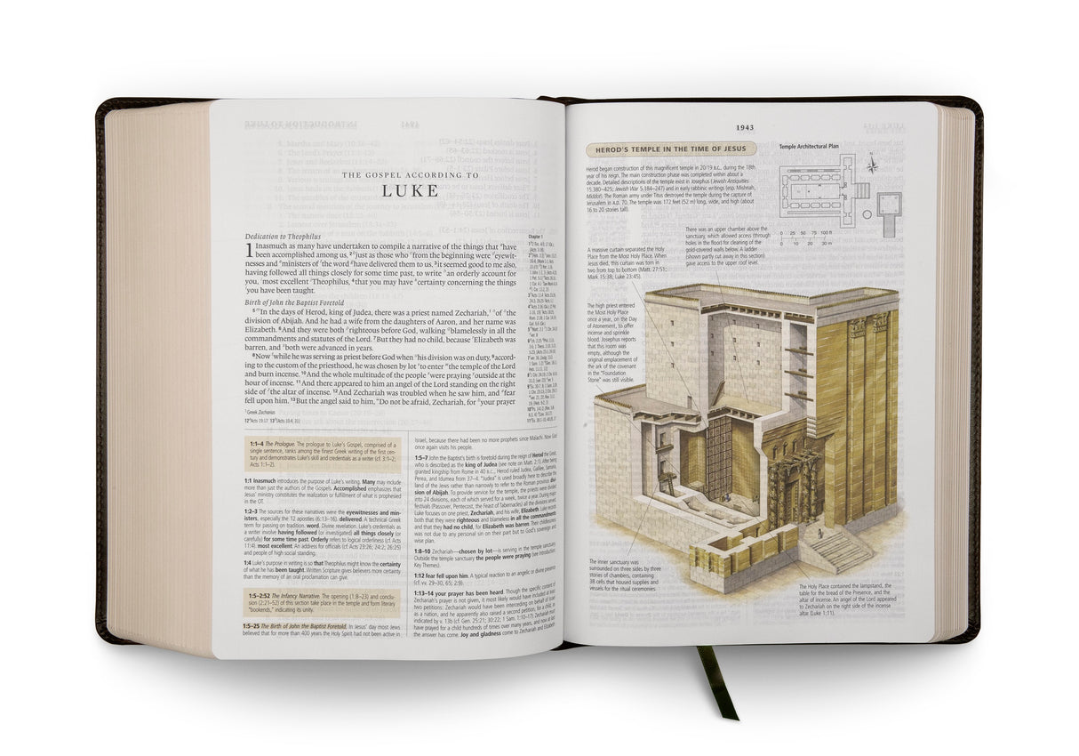 ESV Study Bible (TruTone, Olive, Celtic Cross Design)
